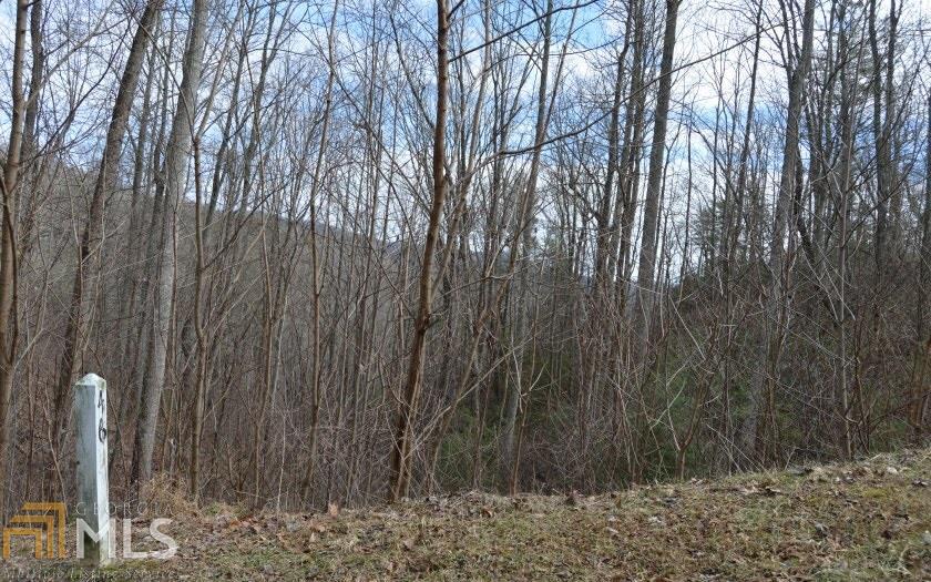 0 The Summit At Fort Mountain - Photo 1