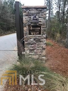 0 Alexander Farms Rd - Photo 1
