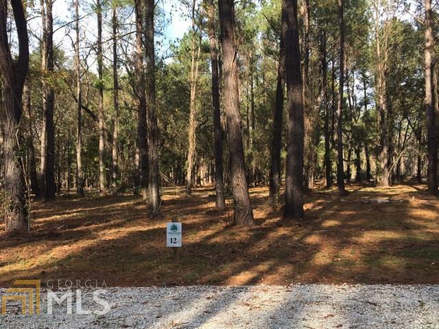 0 Black Cypress - Photo 1