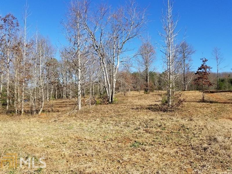 0 Henderson Mountain Rd - Photo 1