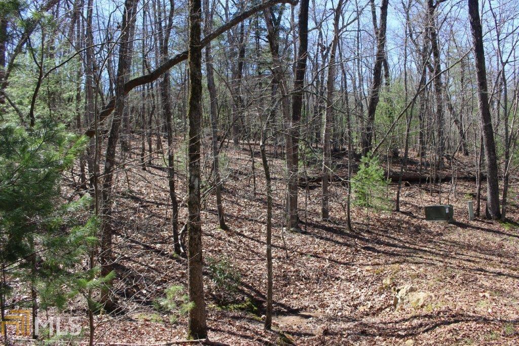 0 Spring Camp Rd - Photo 1