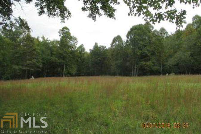 0 Ferguson Town Rd - Photo 1