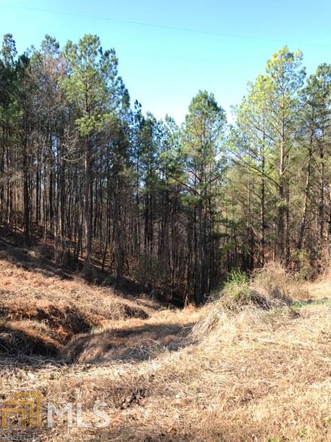 0 Dry Pond Rd - Photo 1