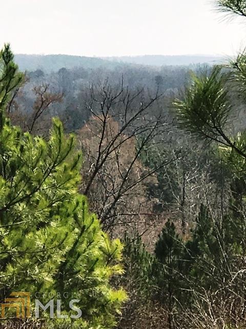 0 Roland Hayes Pkwy - Photo 1