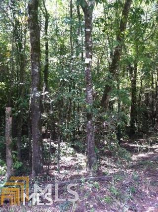 0 Kidd Rd - Photo 1
