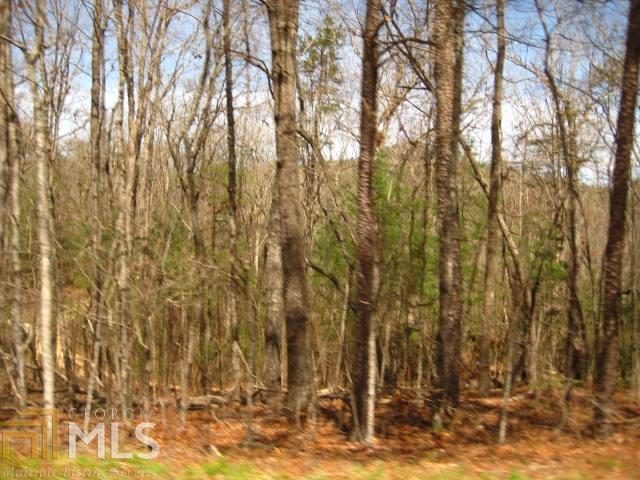 0 E Wolfcreek Rd - Photo 1