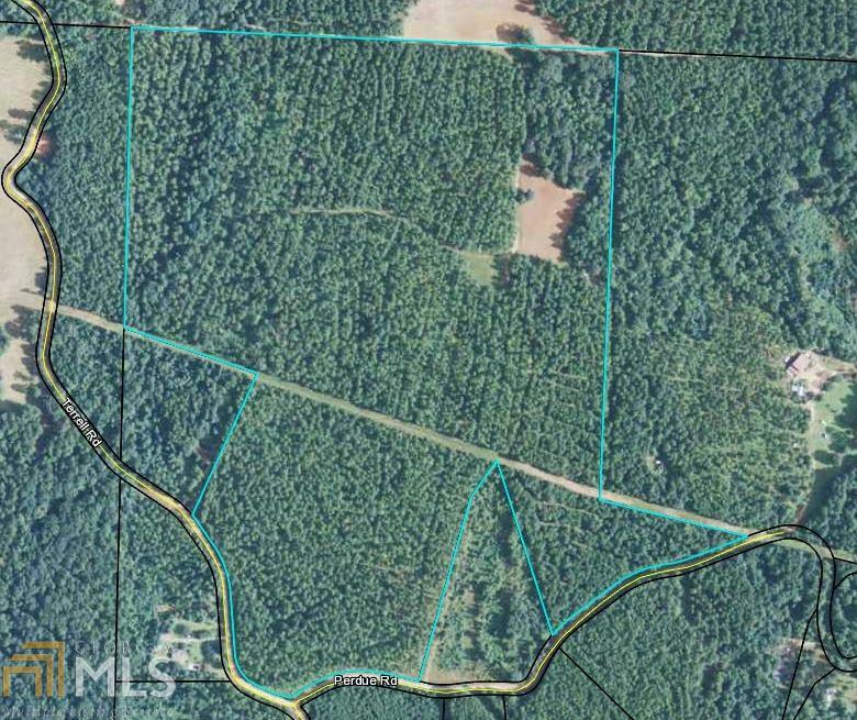 0 Terrell Rd And Perdue Rd - Photo 1