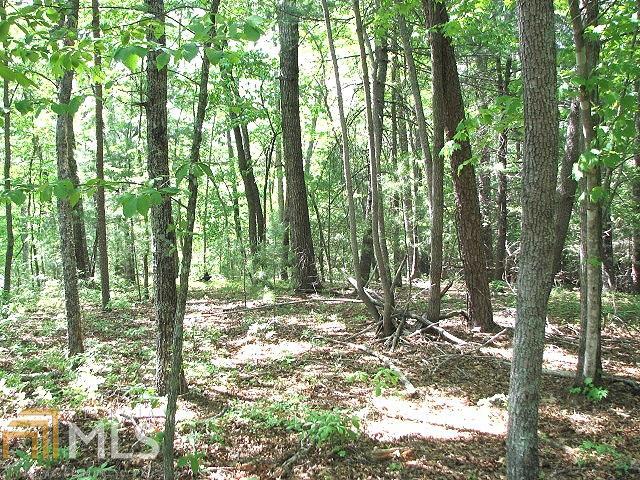 0 Alonzo Cain Rd - Photo 1