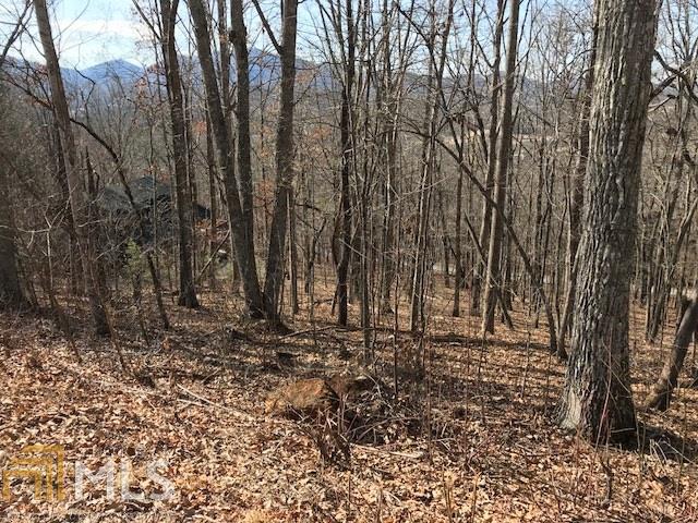 0 Dogwood Cir - Photo 1