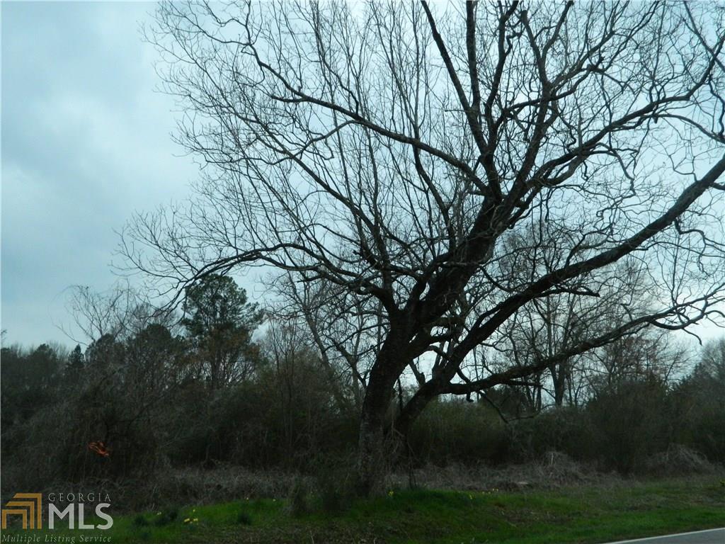0 Keys Ferry Rd - Photo 1