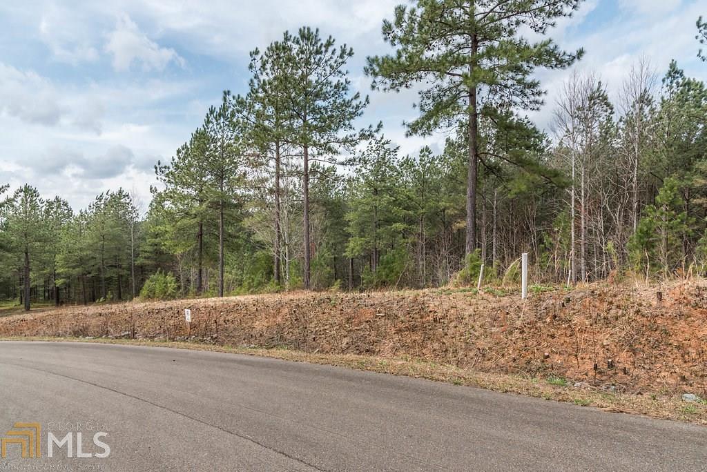 64 Reece Mountain Rd - Photo 1