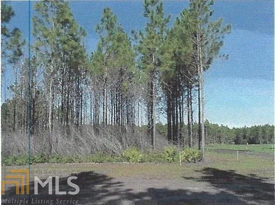501 Neap Tide Ln - Photo 1