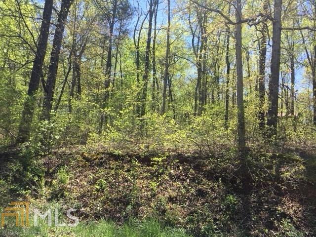 0 River Ridge Rd - Photo 1