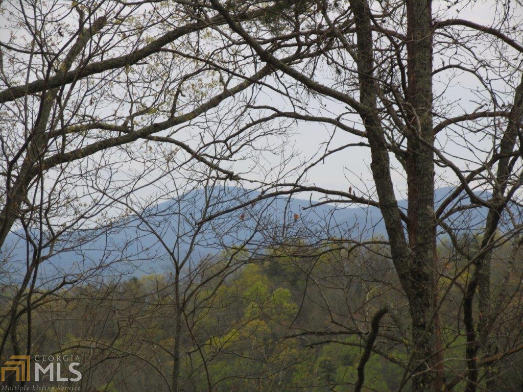 0 Burnt Ridge Rd - Photo 1