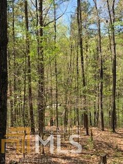 0 Cardinal Ln - Photo 1