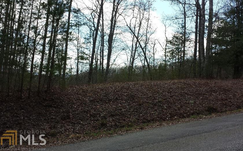 0 Morgan Dr - Photo 1