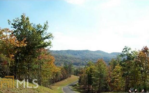 0 Shelton Springs - Photo 1
