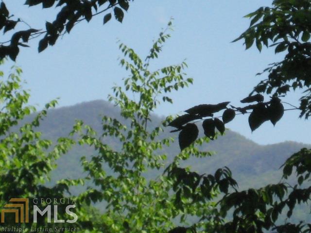 0 Brown Bear - Photo 1