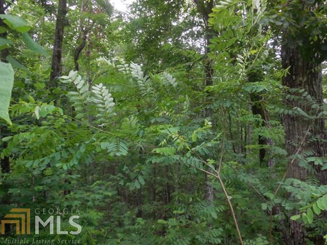 0 Forest Glen Ct - Photo 1