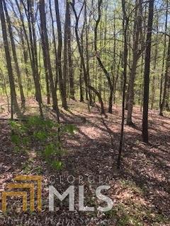 0 Eady Dr - Photo 1