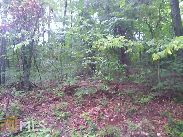 0 Turtle Cove Trailway - Photo 1