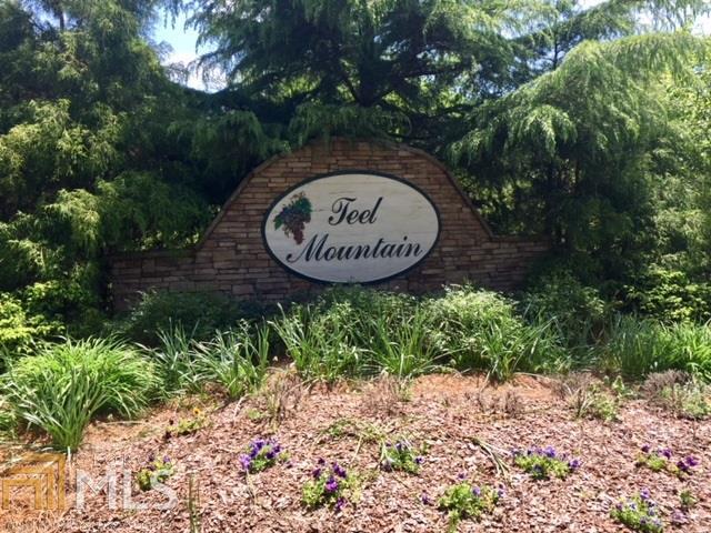 0 Teel Mountain Dr - Photo 1