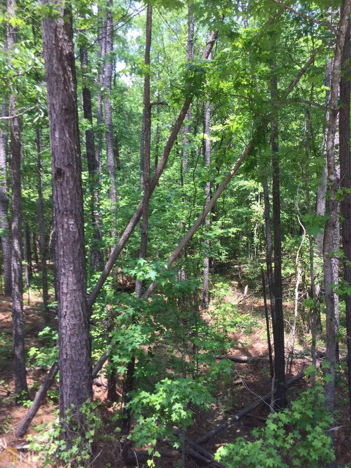 0 Pea Ridge Rd - Photo 1
