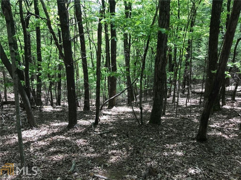 0 Suwnee Ct - Photo 1