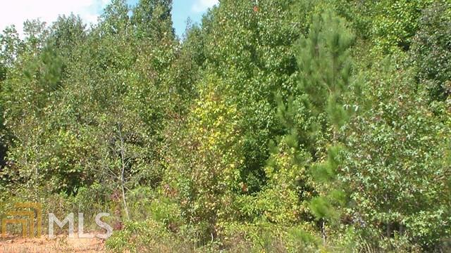0 Ga Highway 59 - Photo 1