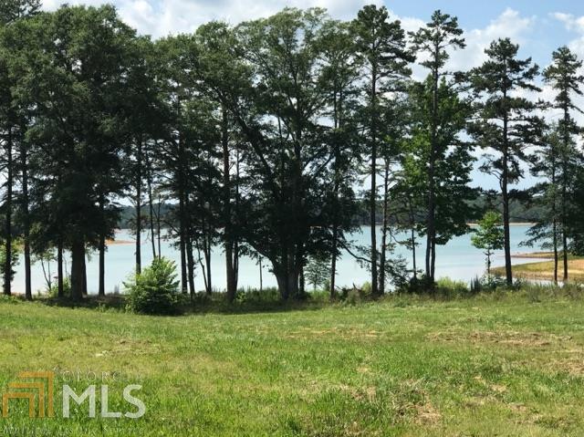 0 N Forest Ave - Photo 1