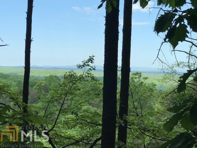 0 Crown Mountain - Photo 1
