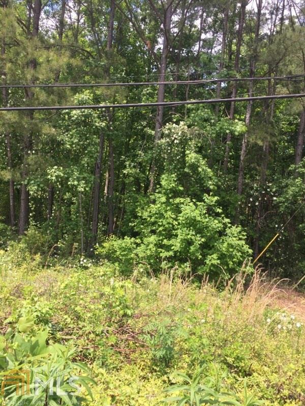 4325 Old Hamilton Mill Rd - Photo 1