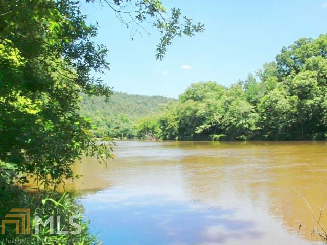 0 Flint River - Photo 1