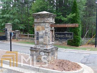 1525 Tapestry Ridge - Photo 1