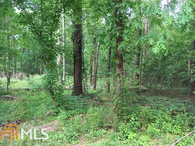 0 Ewing Chapel Rd - Photo 1