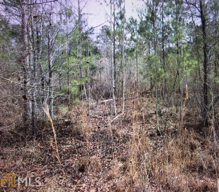 0 Whie Branch Rd - Photo 1