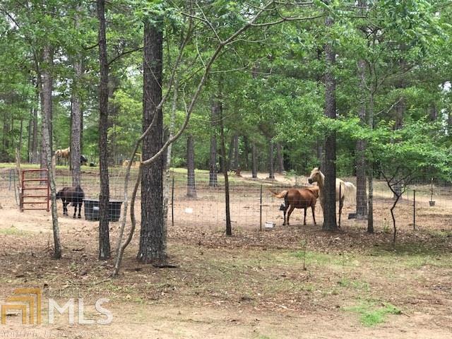 919 Pine Valley - Photo 1