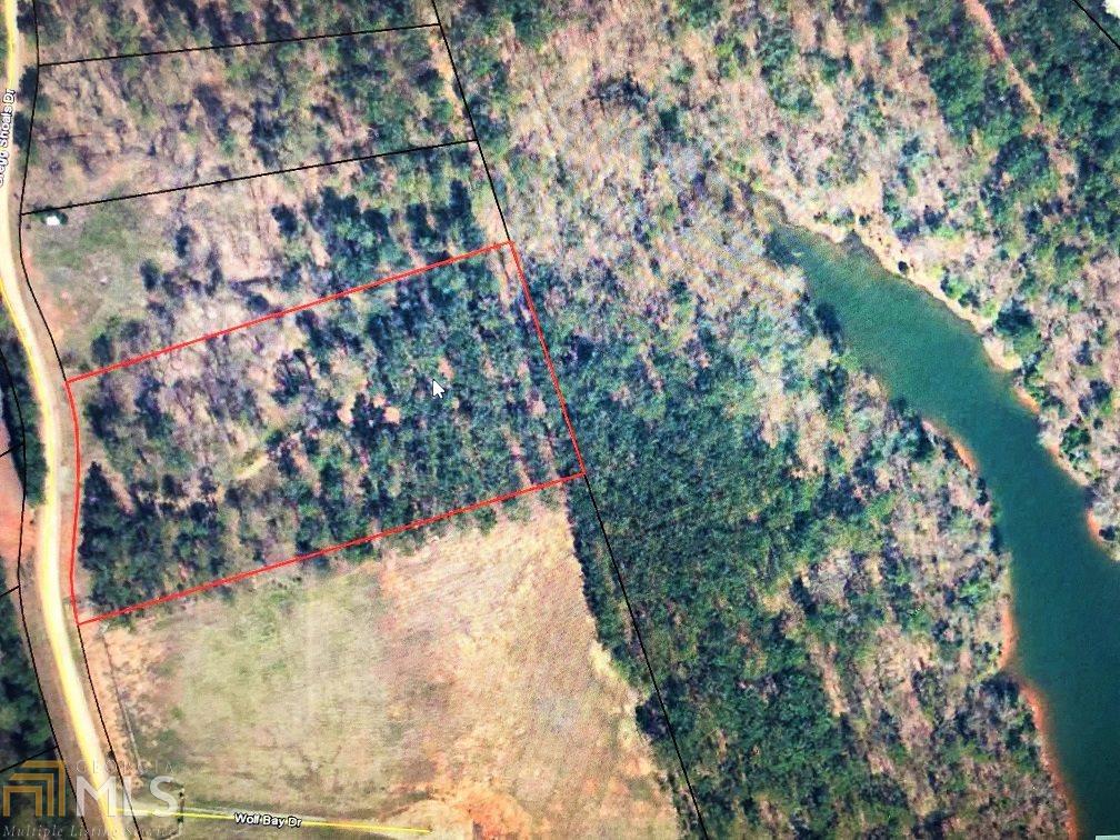 0 Gregg Shoals Rd - Photo 1