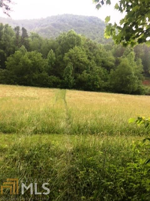 1710 Germany Rd - Photo 1