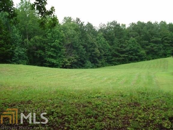 178 Owens Mill Path - Photo 1