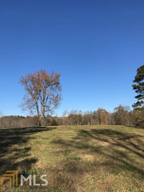 0 Oak Grove Church Rd - Photo 1