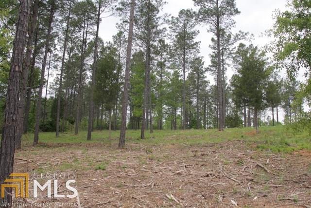1368 Hornets Bridge Dr - Photo 1