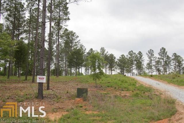 1360 Hornets Bridge Rd - Photo 1