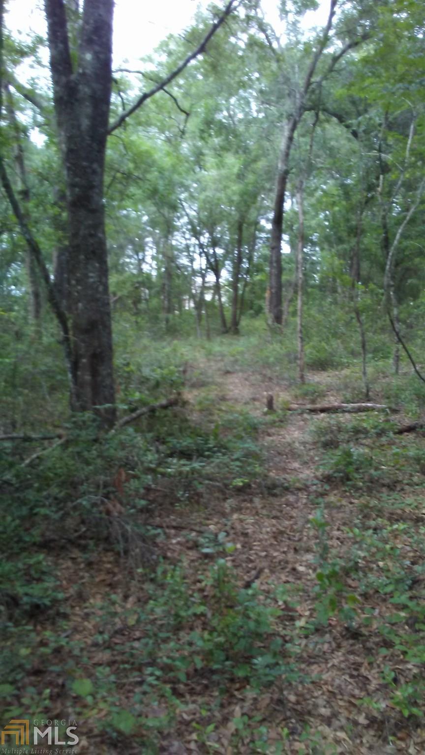 0 Corner Of Coweta Rd And Dogwood Dr - Photo 1