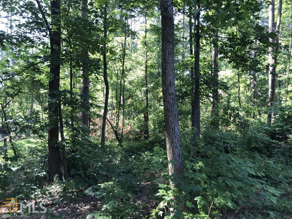 33 Boyd Mountain Rd - Photo 1