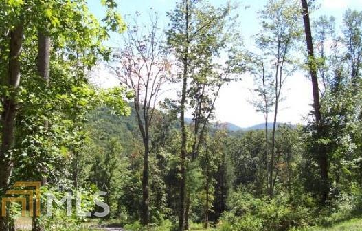 0 Meadow Loop Rd - Photo 1