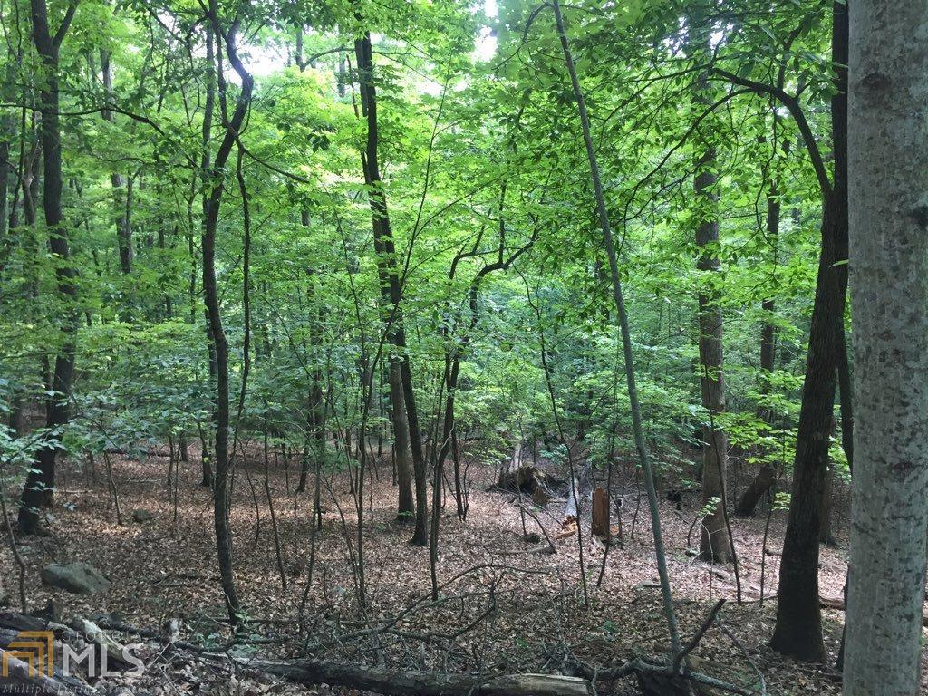 0 Pickelsimer Mountain Retreat - Photo 1
