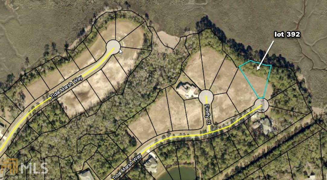 205 Tidal Marsh Way - Photo 1