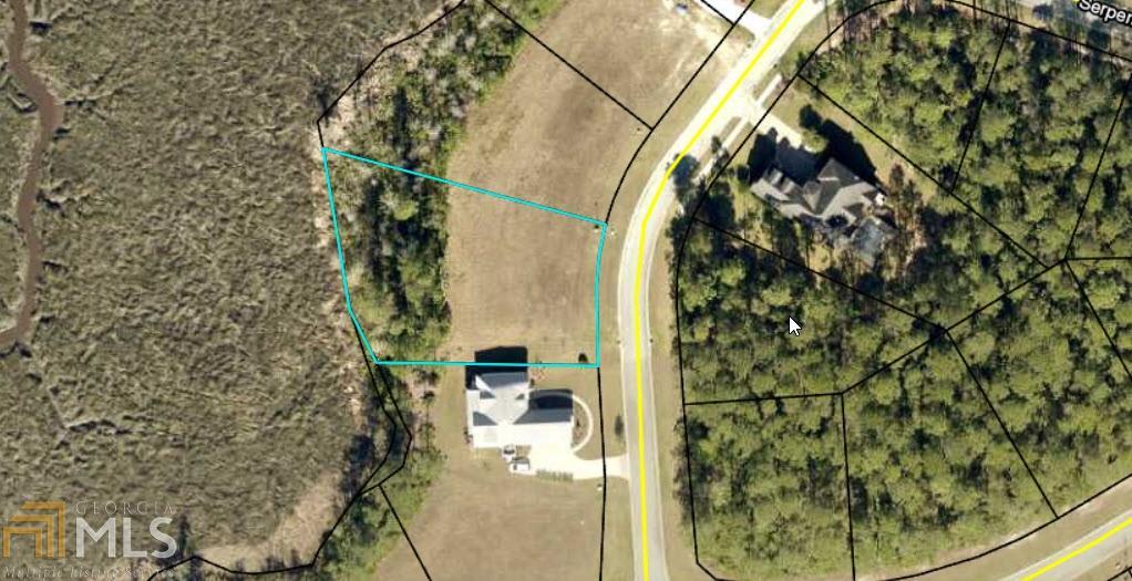 306 Serpentine Dr - Photo 1