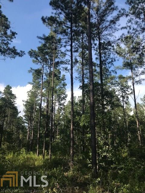 0 Jackie Ryals Rd - Photo 1